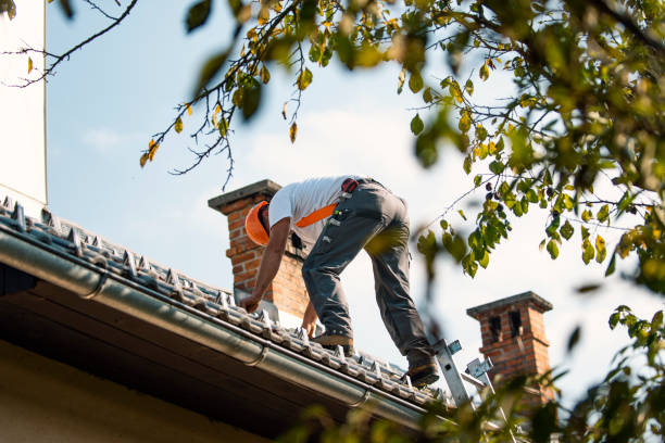 Cold Roofs